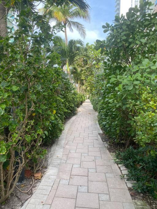 Stylish Miami Getaway, Ocean Views & Gourmet Kitchen -12a *